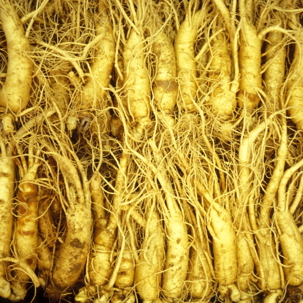 Ginseng extract