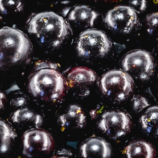 Acai Berry Extract